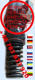Regeneracja naprawa POMP DMCI UPEC DAF XF105 DELPH